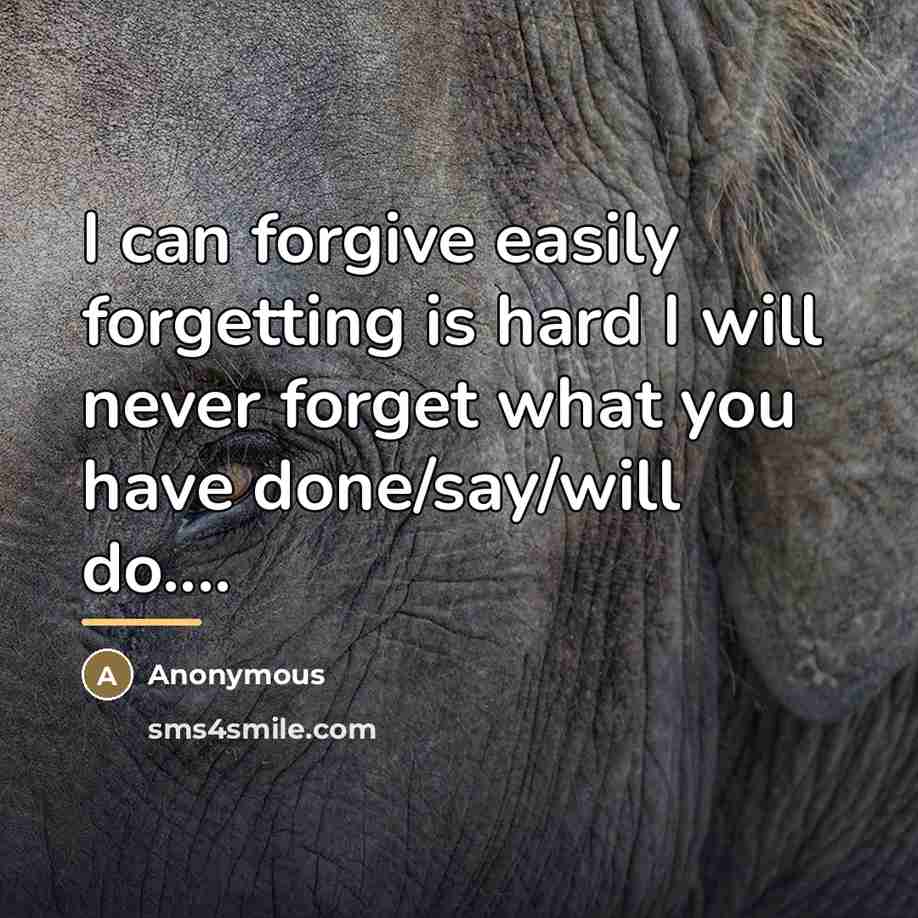 “I can forgive easily forgetting is hard I will never…” quote by Anonymous