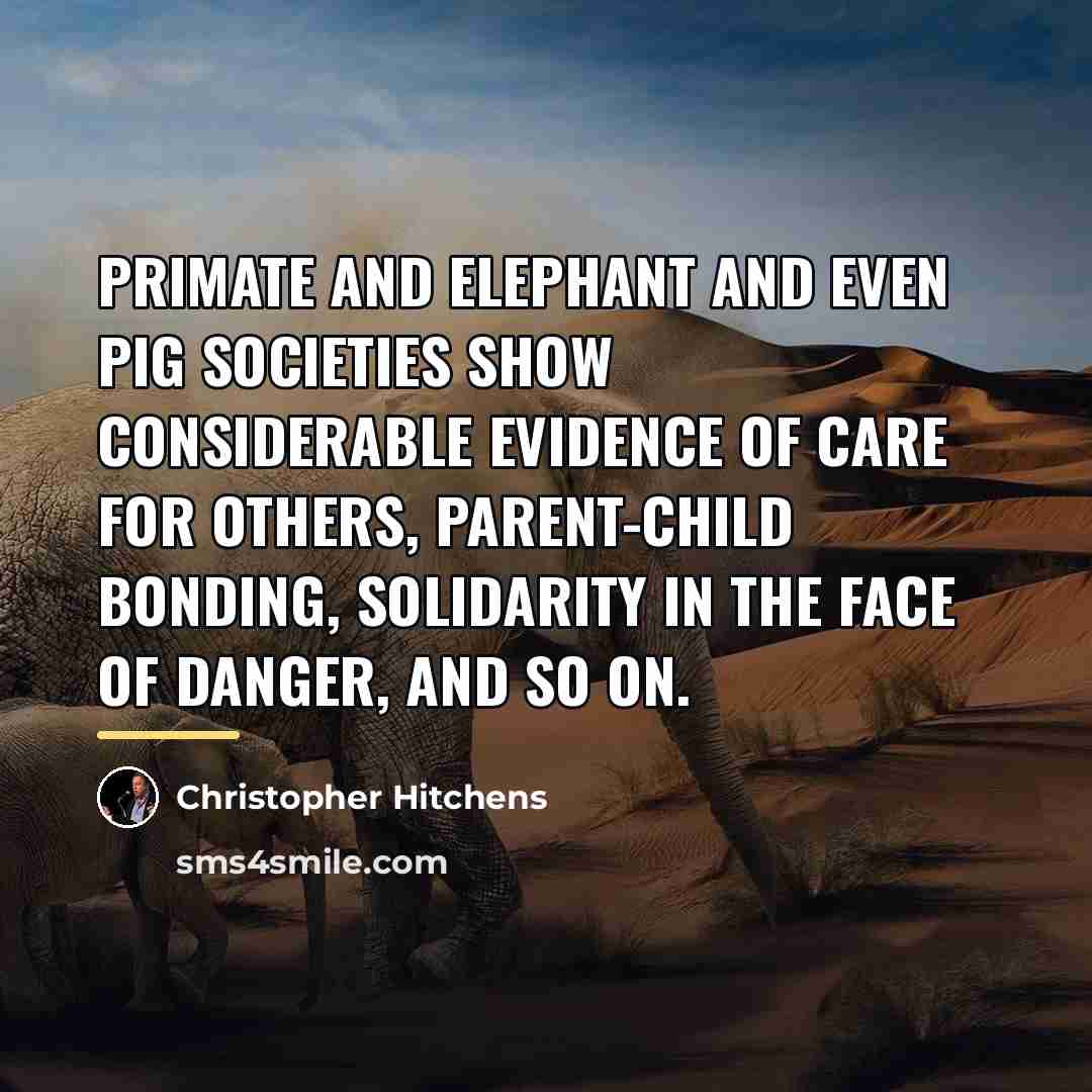 “Primate and elephant and even pig societies show considerable evidence…” quote by Christopher Hitchens