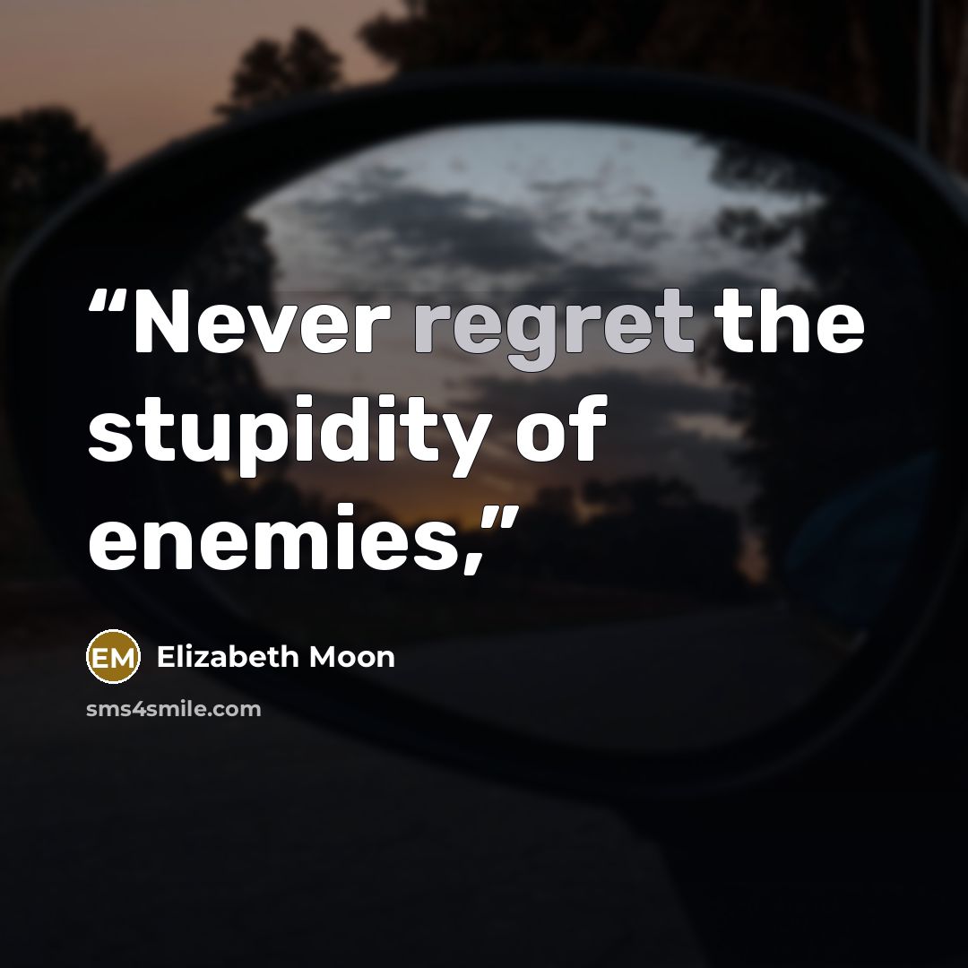 “Never regret the stupidity of enemies,” quote by Elizabeth Moon