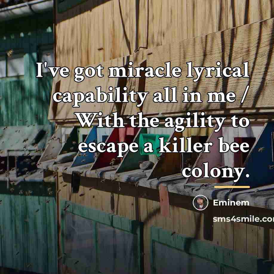 “I've got miracle lyrical capability all in me / With…” quote by Eminem
