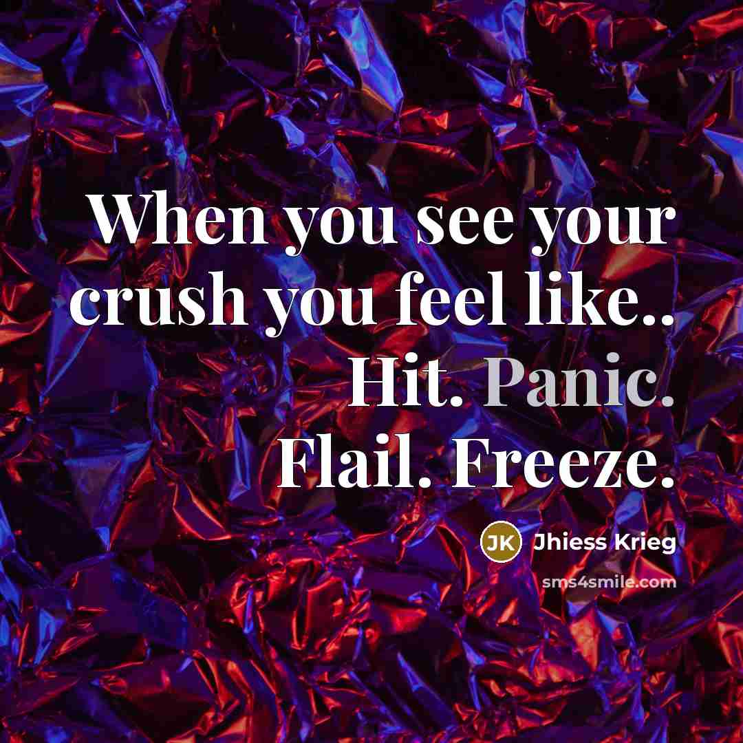 “When you see your crush you feel like.. Hit. Panic. Flail. Freeze.” quote by Jhiess Krieg
