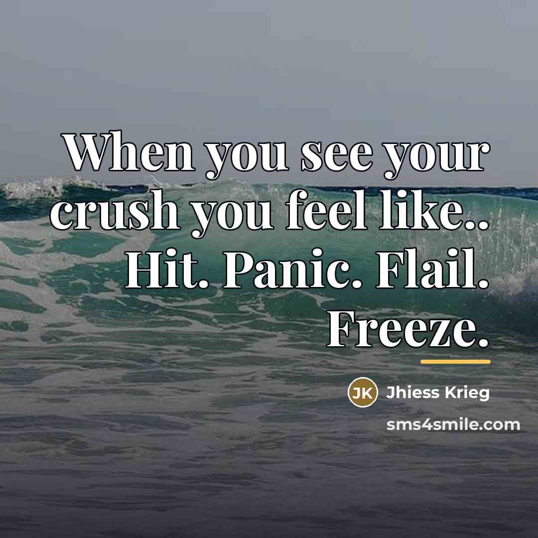 “When you see your crush you feel like.. Hit. Panic.…” quote by Jhiess Krieg
