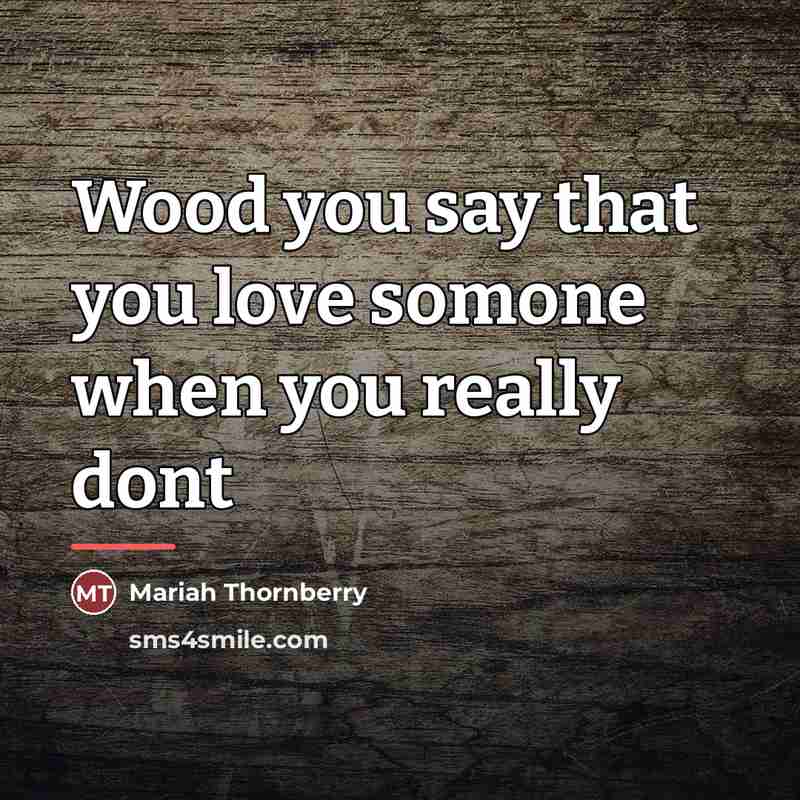 “Wood you say that you love somone when you really dont” quote by Mariah Thornberry