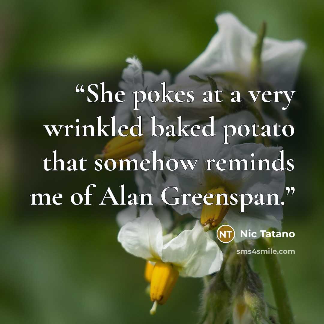 “She pokes at a very wrinkled baked potato that somehow reminds me of Alan Greenspan.” quote by Nic Tatano