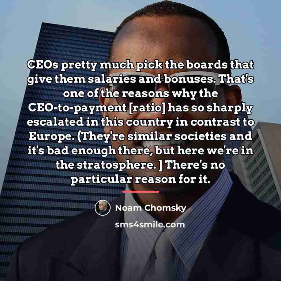 “CEOs pretty much pick the boards that give them salaries…” quote by Noam Chomsky