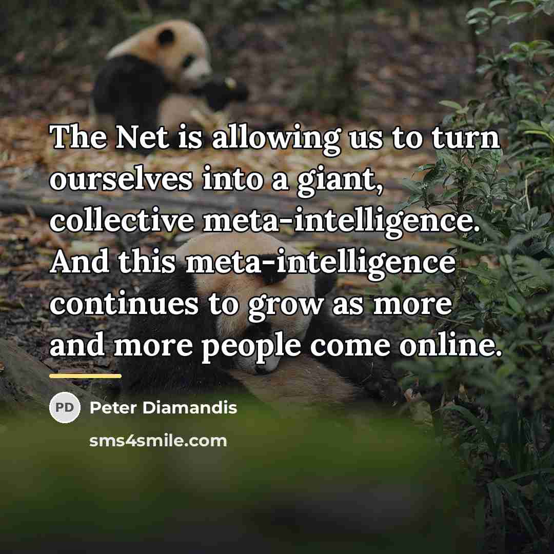 “The Net is allowing us to turn ourselves into a…” quote by Peter Diamandis