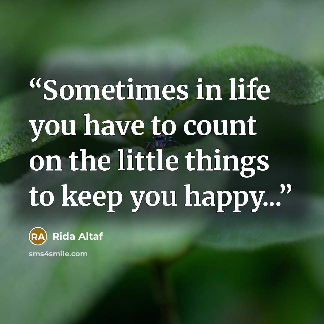 “Sometimes in life you have to count on the little things to keep you happy...” quote by Rida Altaf