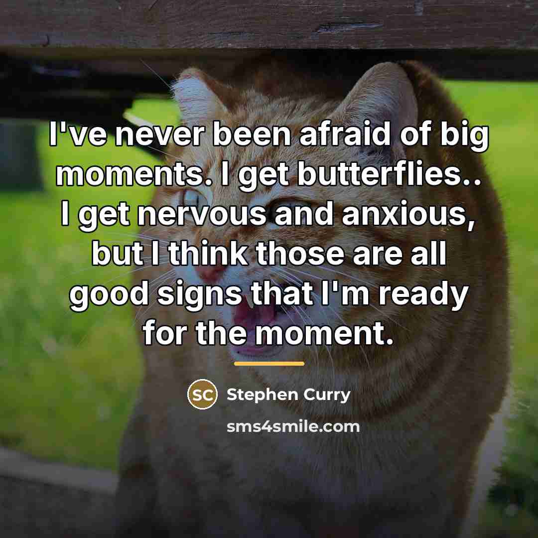 “I've never been afraid of big moments. I get butterflies..…” quote by Stephen Curry