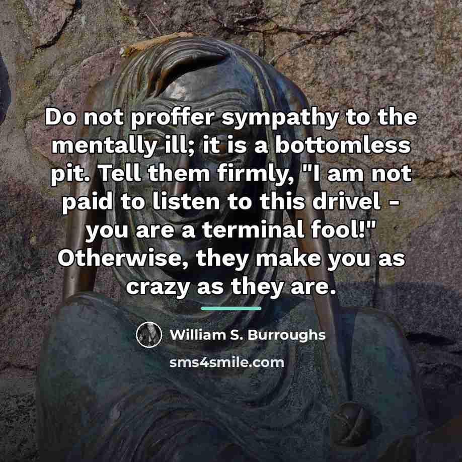 “Do not proffer sympathy to the mentally ill; it is…” quote by William S. Burroughs