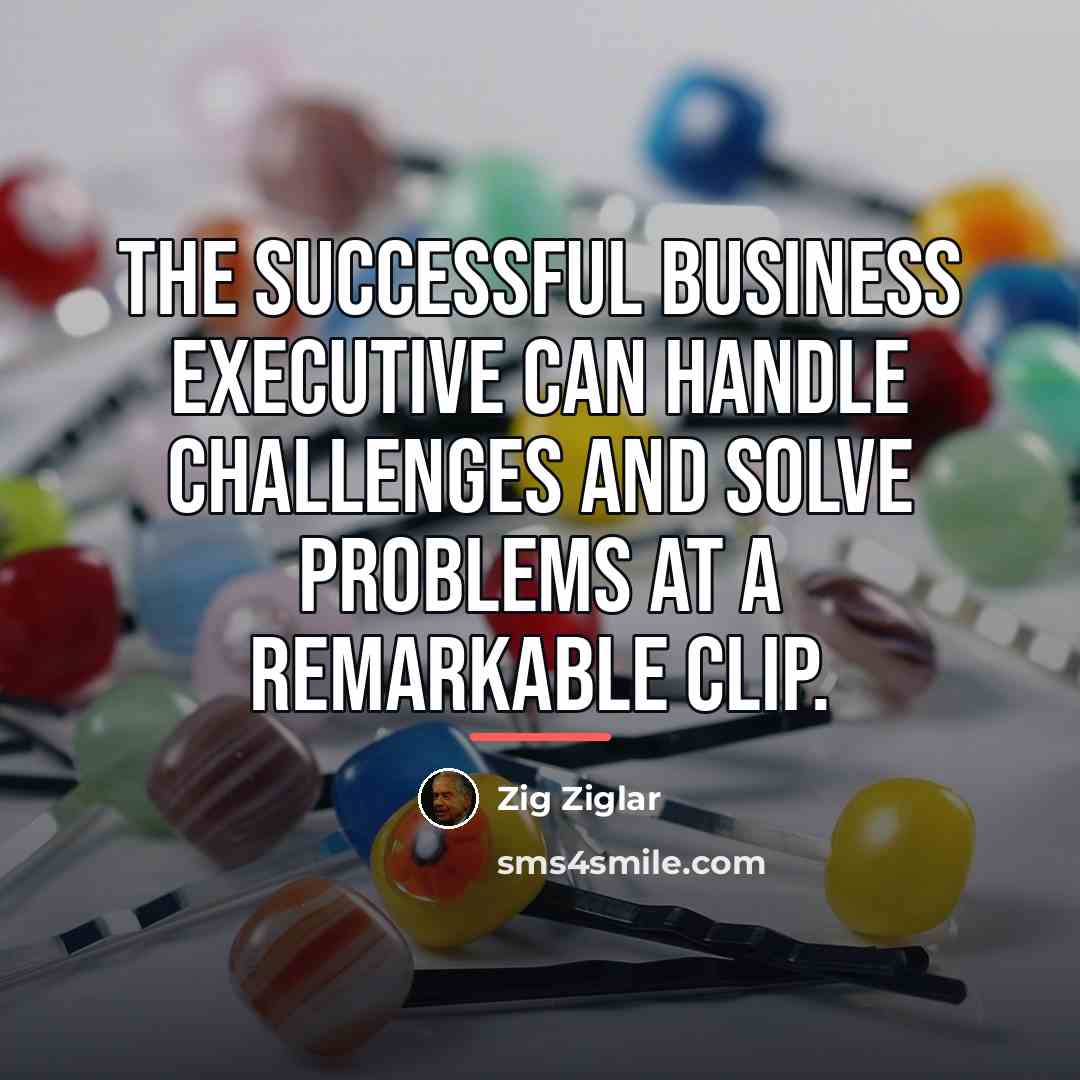 “The successful business executive can handle challenges and solve problems…” quote by Zig Ziglar