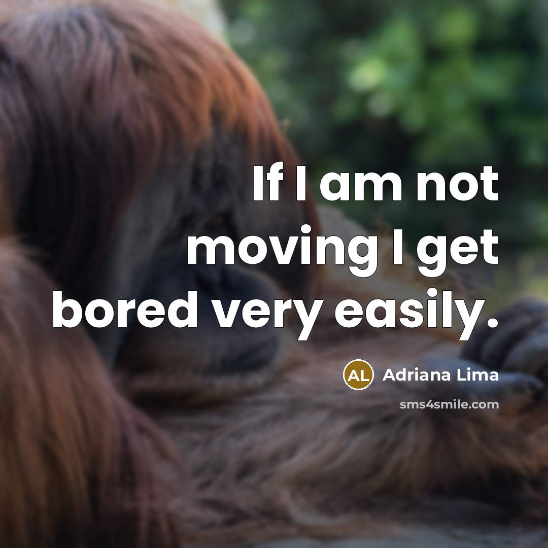 “If I am not moving I get bored very easily.…” quote by Adriana Lima