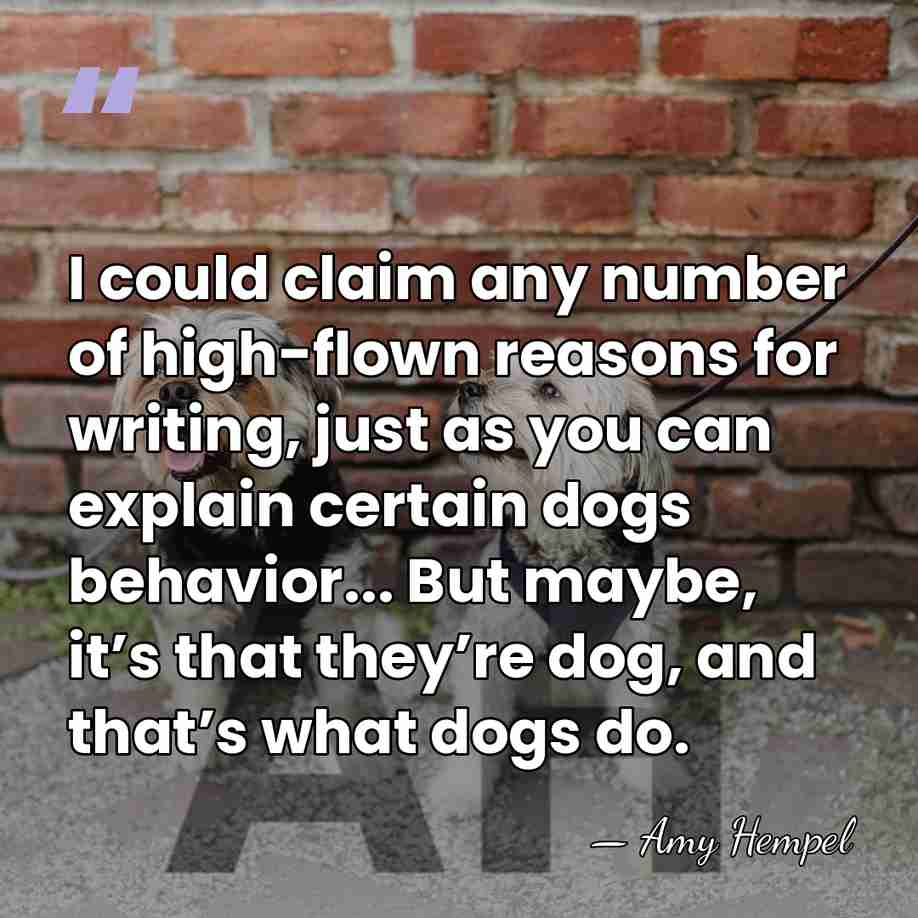 I could claim any number of high-flown reasons for writing, just as&hellip; - Amy Hempel