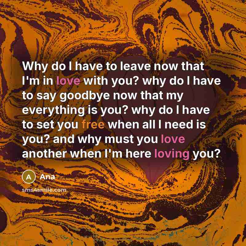 “Why do I have to leave now that I'm in love with you? why do I have to say goodbye now that my everything is you? why do I have to set you free when all I need is you? and why must you love another when I'm here loving you?” quote by Ana