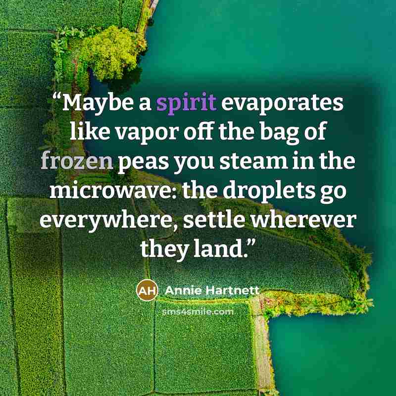 “Maybe a spirit evaporates like vapor off the bag of frozen peas you steam in the microwave: the droplets go everywhere, settle wherever they land.” quote by Annie Hartnett