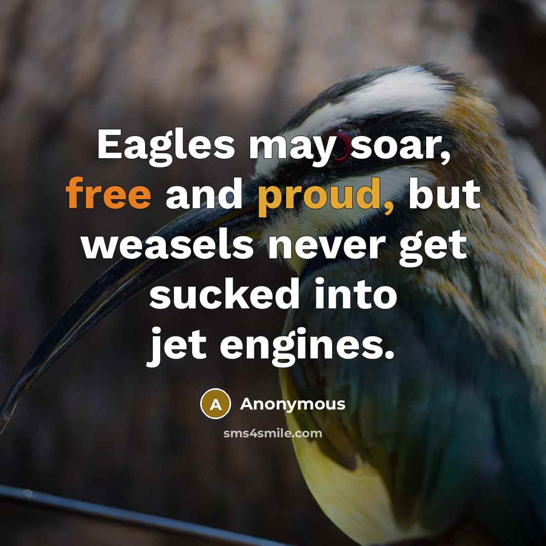 “Eagles may soar, free and proud, but weasels never get sucked into jet engines.” quote by Anonymous