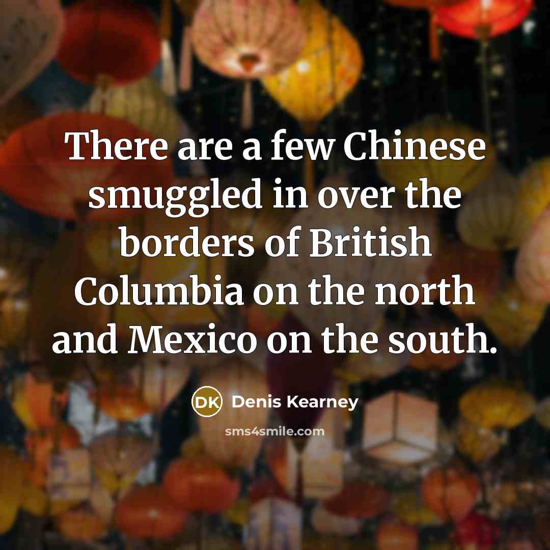 “There are a few Chinese smuggled in over the borders…” quote by Denis Kearney