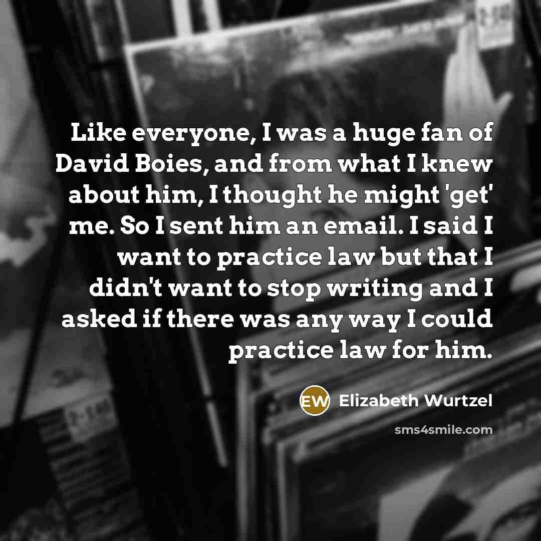 “Like everyone, I was a huge fan of David Boies,…” quote by Elizabeth Wurtzel