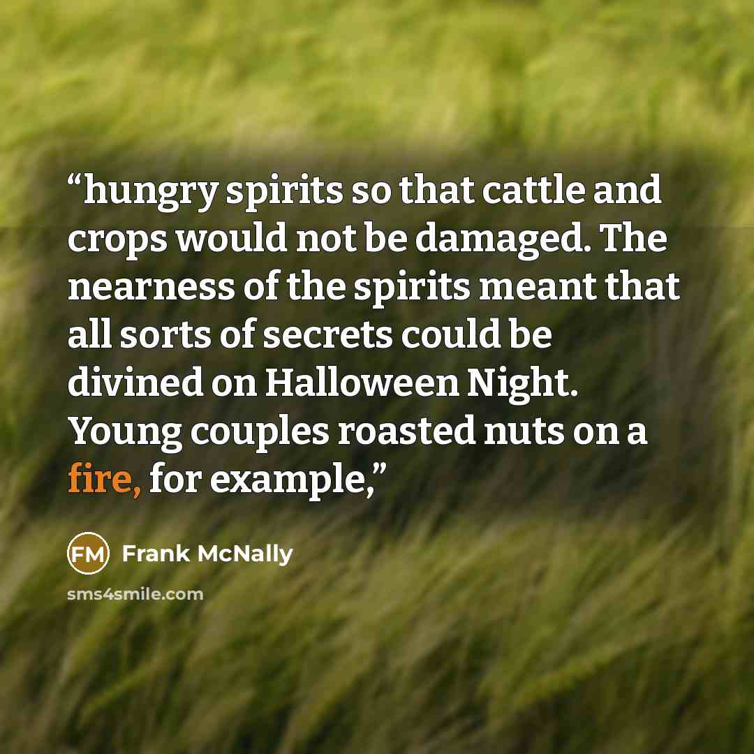 “hungry spirits so that cattle and crops would not be damaged. The nearness of the spirits meant that all sorts of secrets could be divined on Halloween Night. Young couples roasted nuts on a fire, for example,” quote by Frank McNally