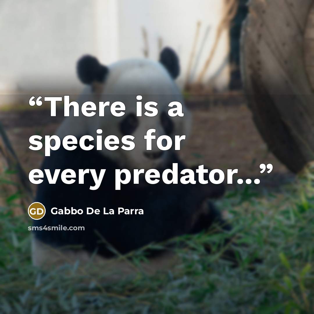 “There is a species for every predator...” quote by Gabbo De La Parra