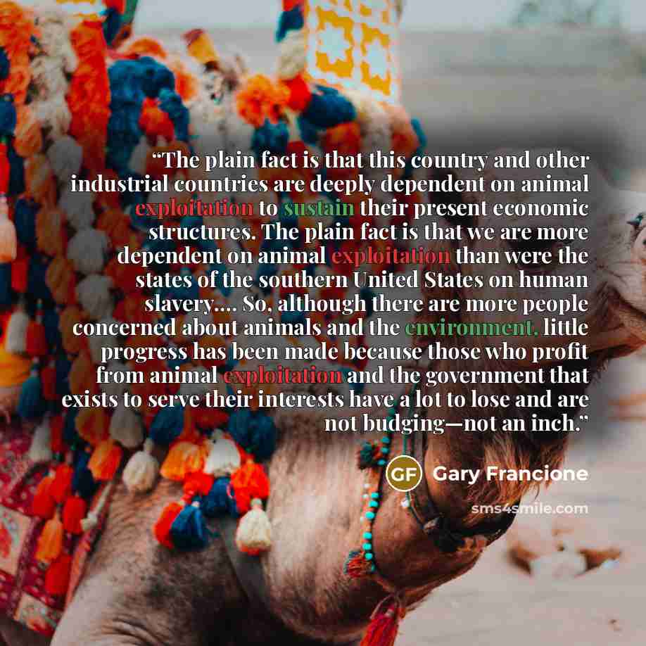 “The plain fact is that this country and other industrial countries are deeply dependent on animal exploitation to sustain their present economic structures. The plain fact is that we are more dependent on animal exploitation than were the states of the southern United States on human slavery…. So…” quote by Gary Francione