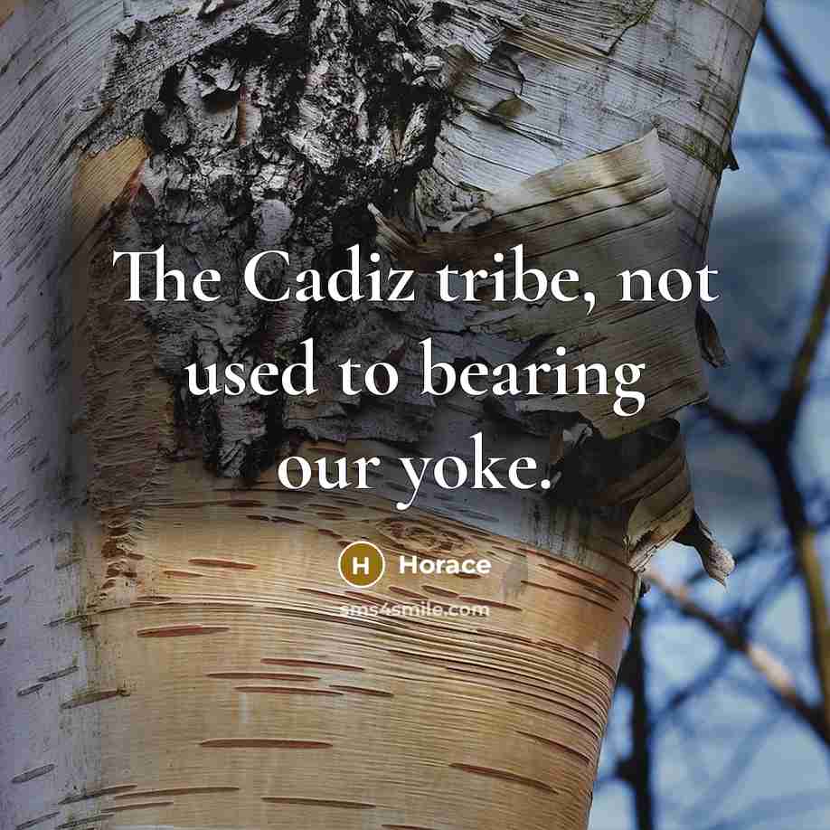 “The Cadiz tribe, not used to bearing our yoke.…” quote by Horace