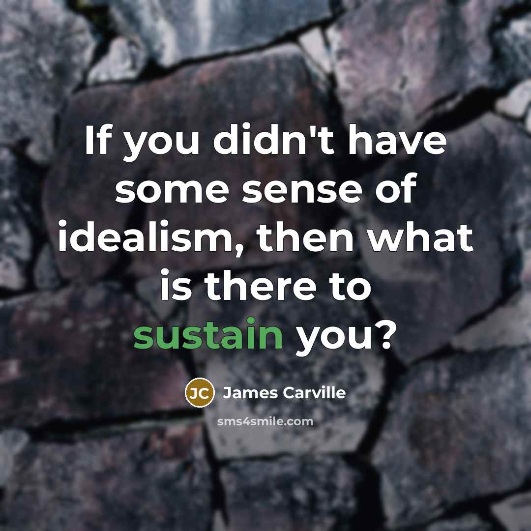 “If you didn't have some sense of idealism, then what…” quote by James Carville