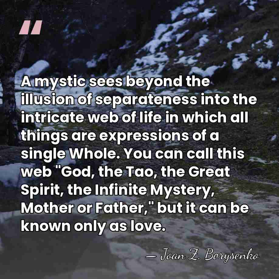 A mystic sees beyond the illusion of separateness into the intricate web&hellip; - Joan Z. Borysenko