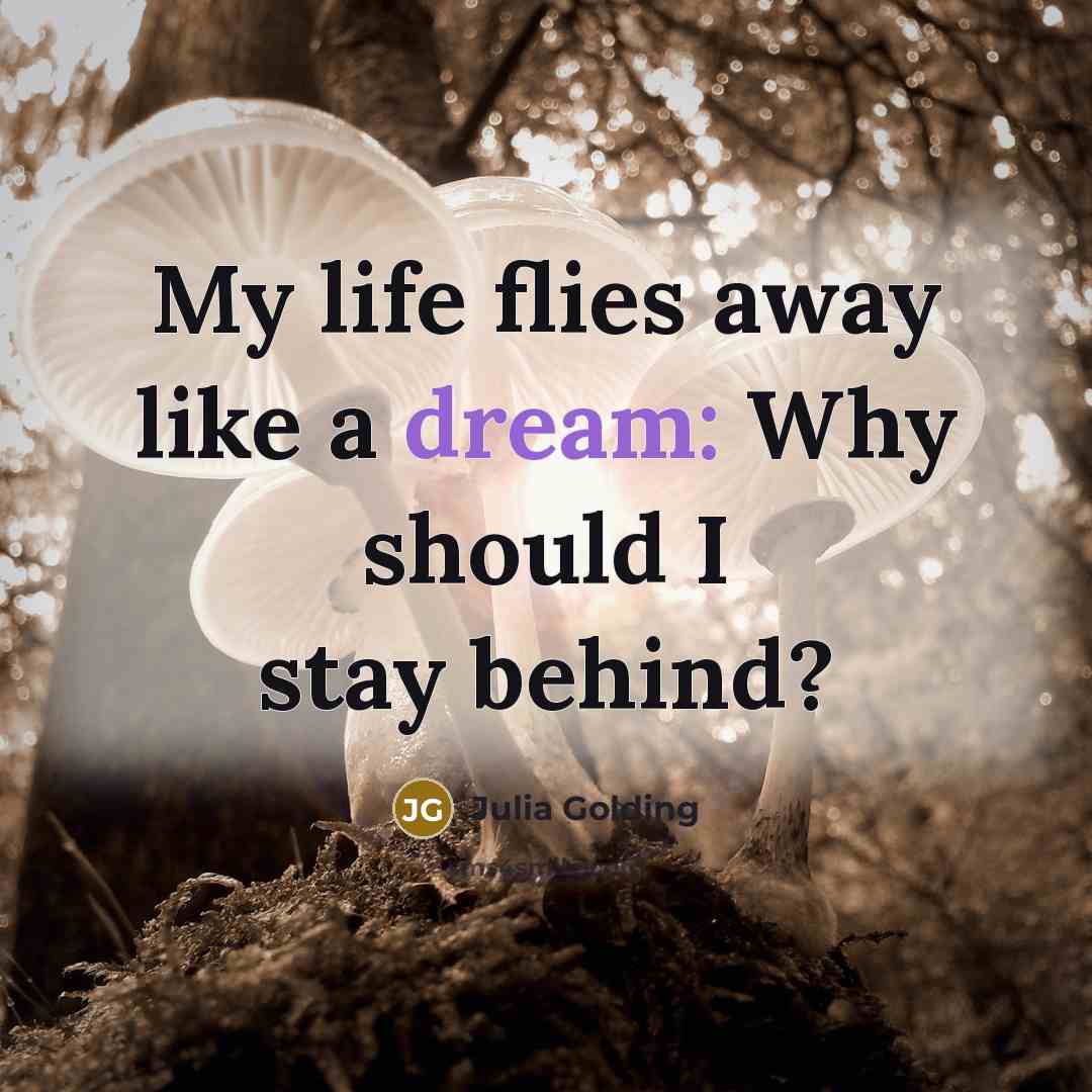 “My life flies away like a dream: Why should I…” quote by Julia Golding