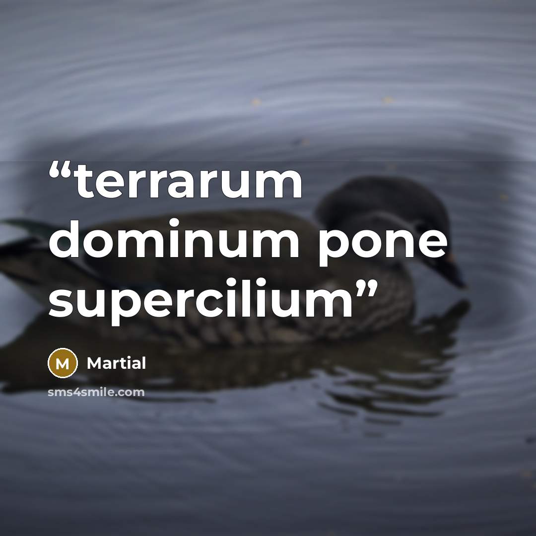 “terrarum dominum pone supercilium” quote by Martial