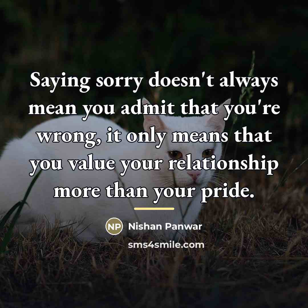 “Saying sorry doesn't always mean you admit that you're wrong,…” quote by Nishan Panwar