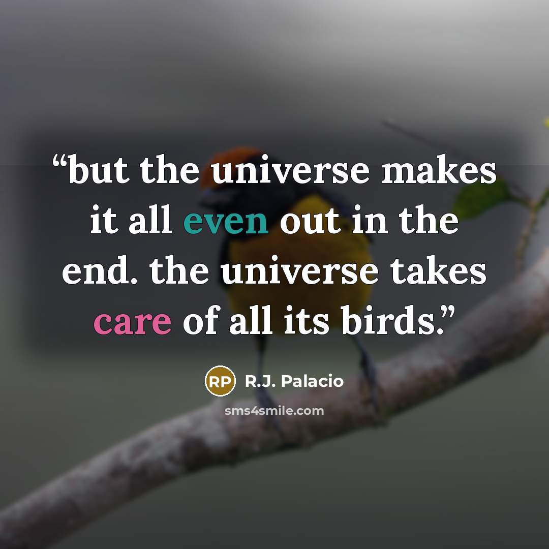 “but the universe makes it all even out in the end. the universe takes care of all its birds.” quote by R.J. Palacio
