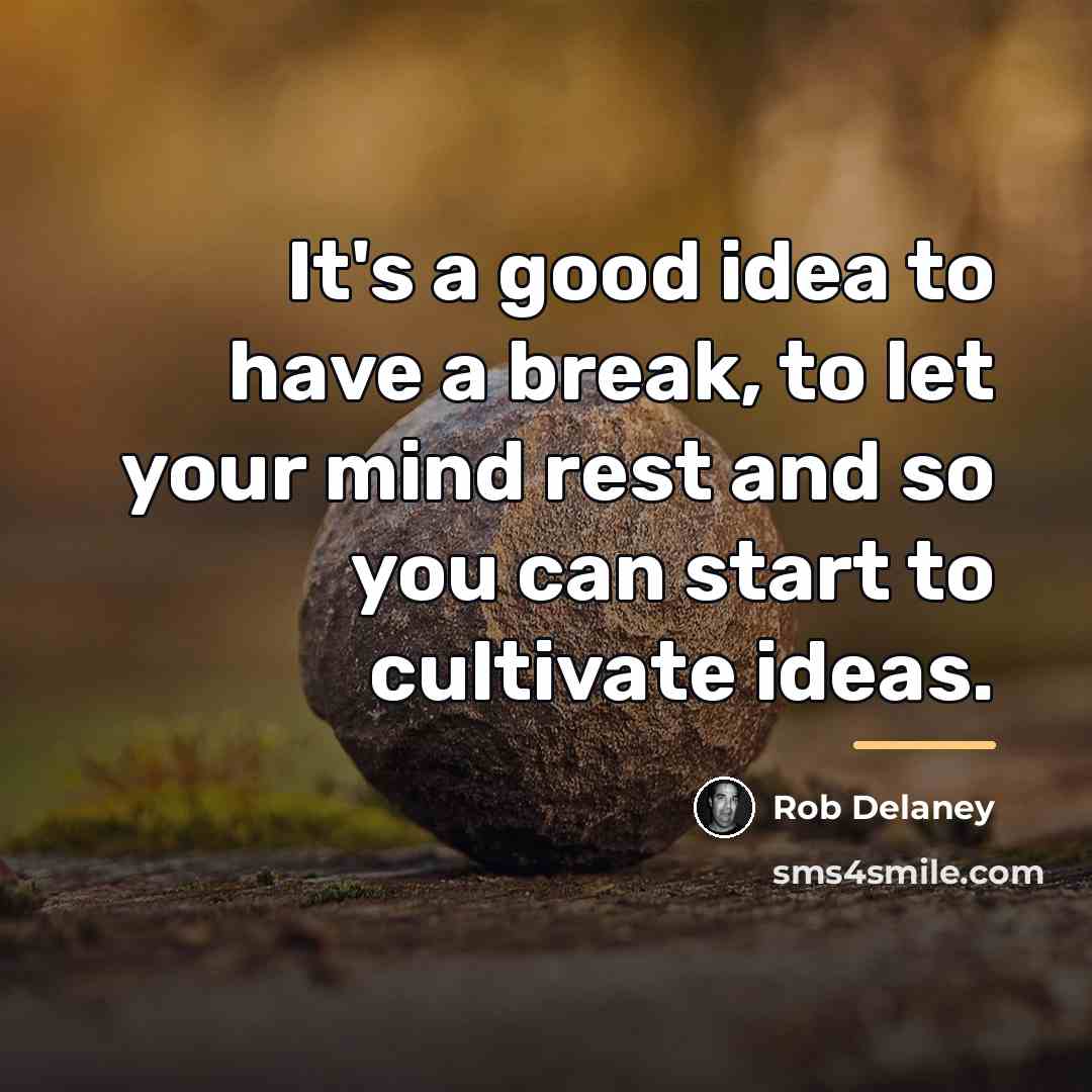 “It's a good idea to have a break, to let…” quote by Rob Delaney