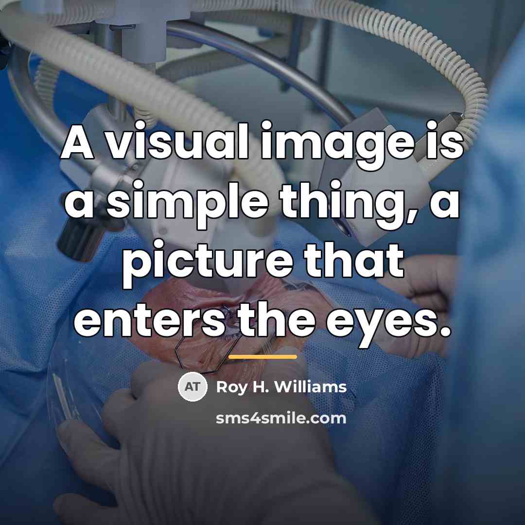 “A visual image is a simple thing, a picture that…” quote by Roy H. Williams