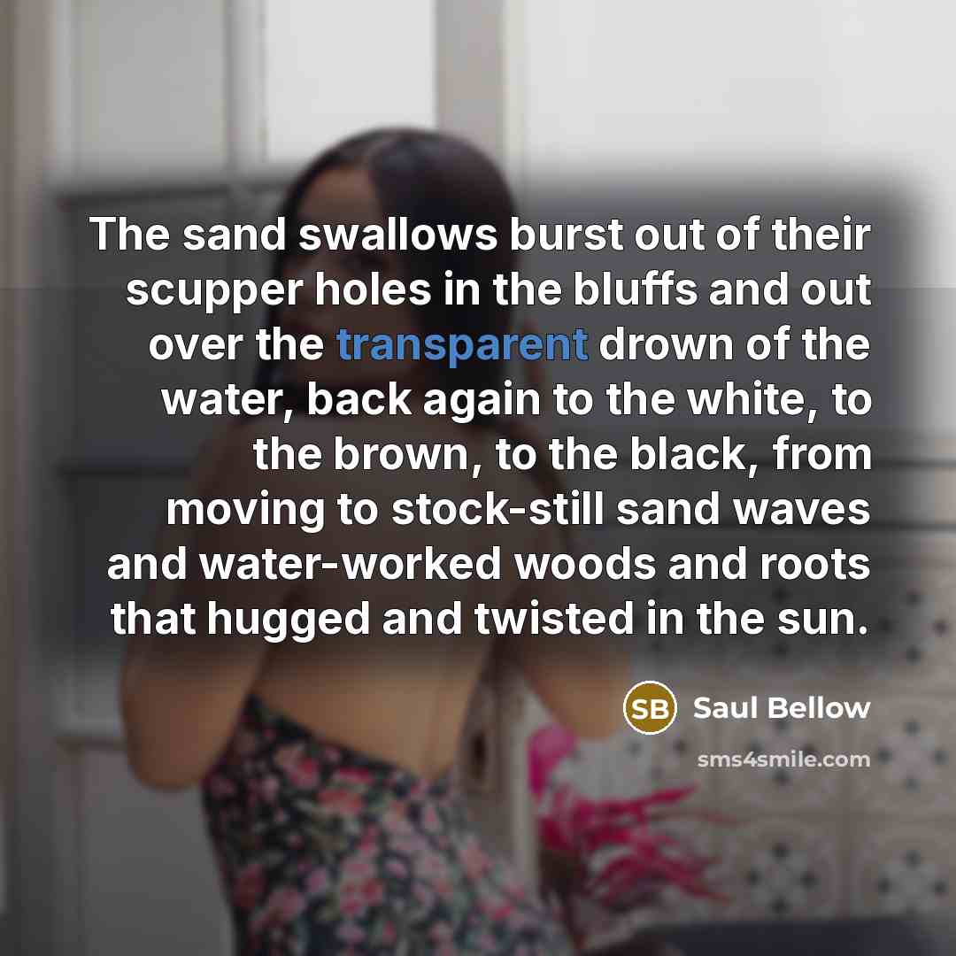 “The sand swallows burst out of their scupper holes in…” quote by Saul Bellow