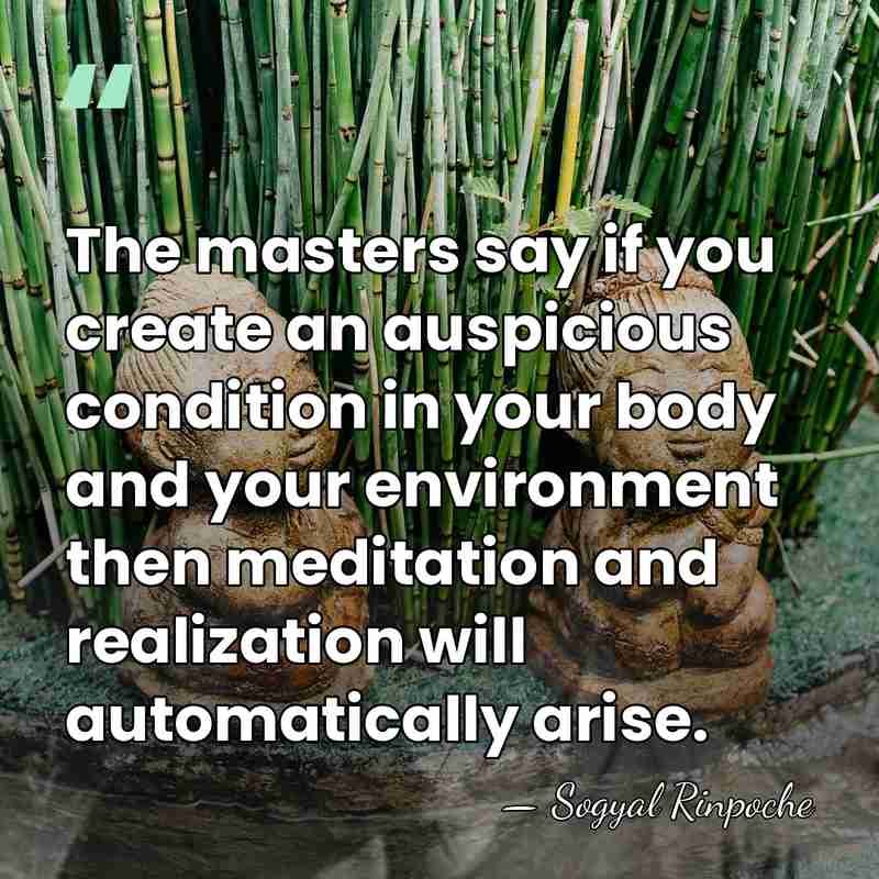 The masters say if you create an auspicious condition in your body&hellip; - Sogyal Rinpoche