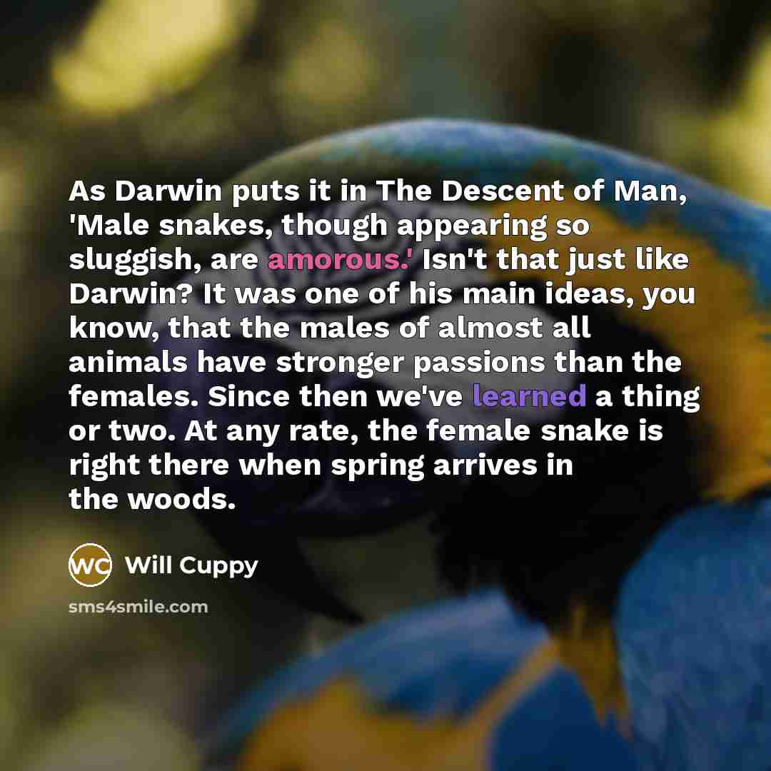 “As Darwin puts it in The Descent of Man, 'Male…” quote by Will Cuppy