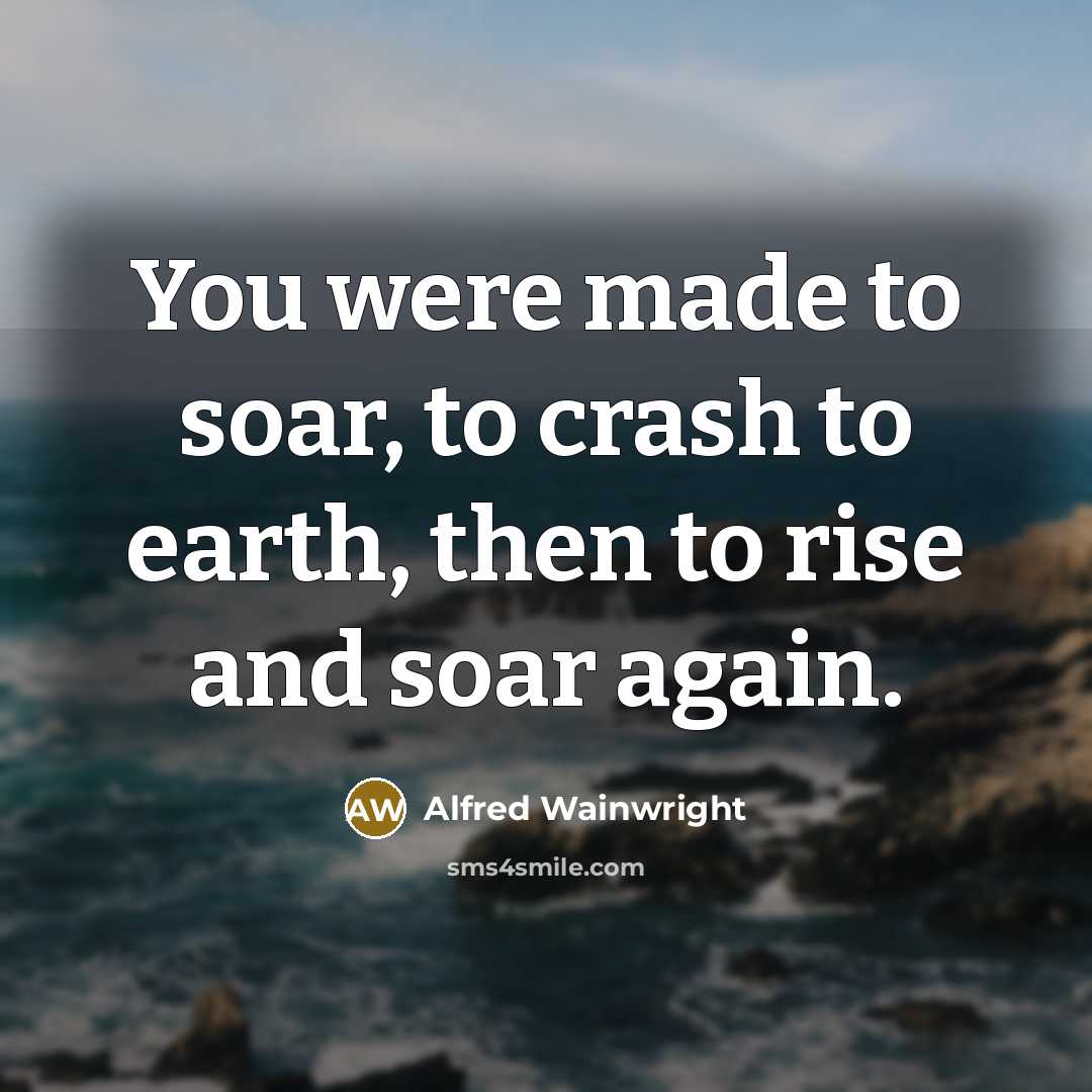 “You were made to soar, to crash to earth, then…” quote by Alfred Wainwright