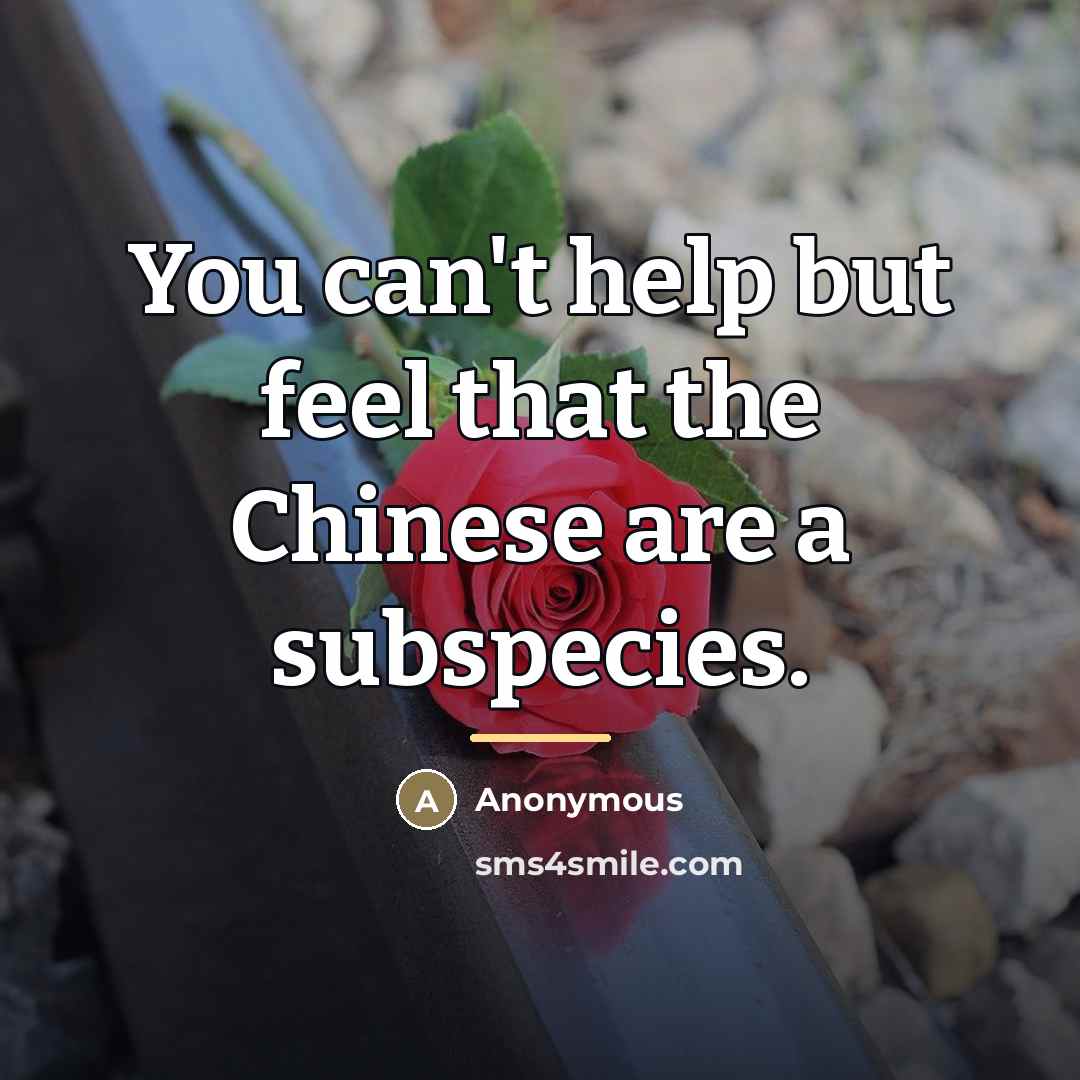 “You can't help but feel that the Chinese are a…” quote by Anonymous