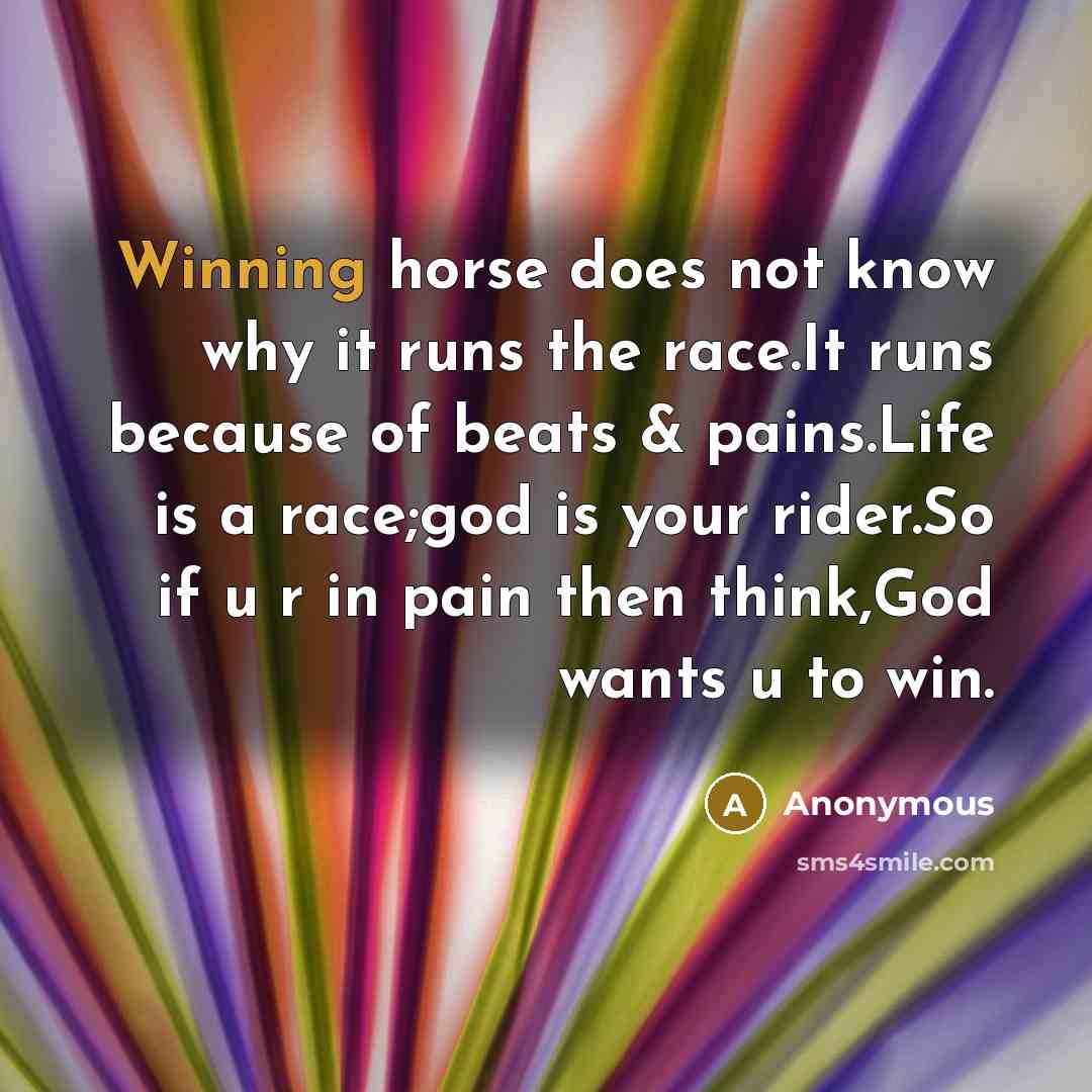 “Winning horse does not know why it runs the race.It…” quote by Anonymous