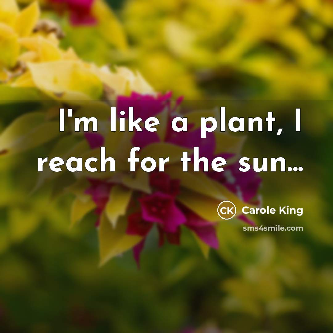 “I'm like a plant, I reach for the sun...…” quote by Carole King