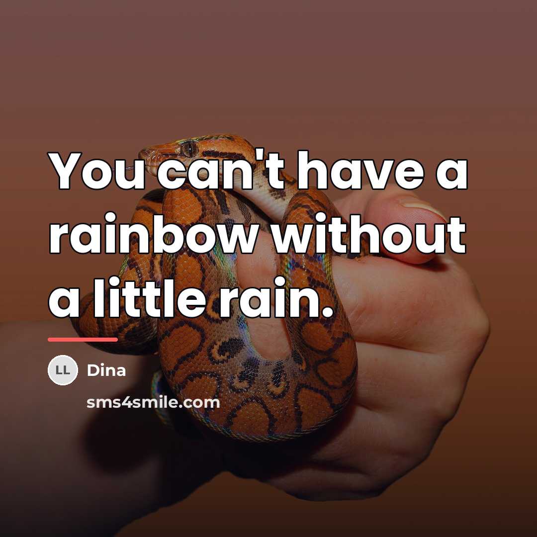 “You can't have a rainbow without a little rain.…” quote by Dina