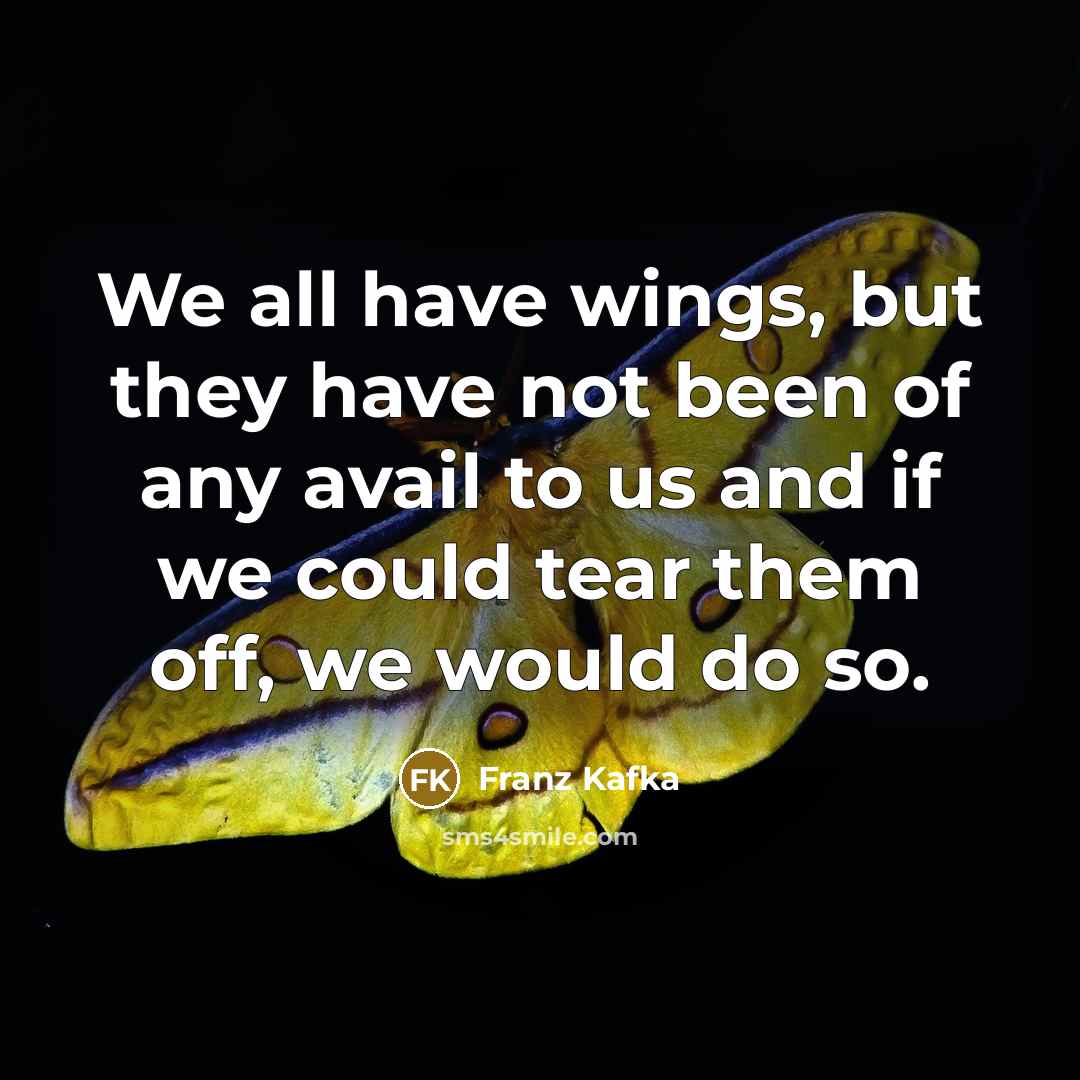 “We all have wings, but they have not been of…” quote by Franz Kafka