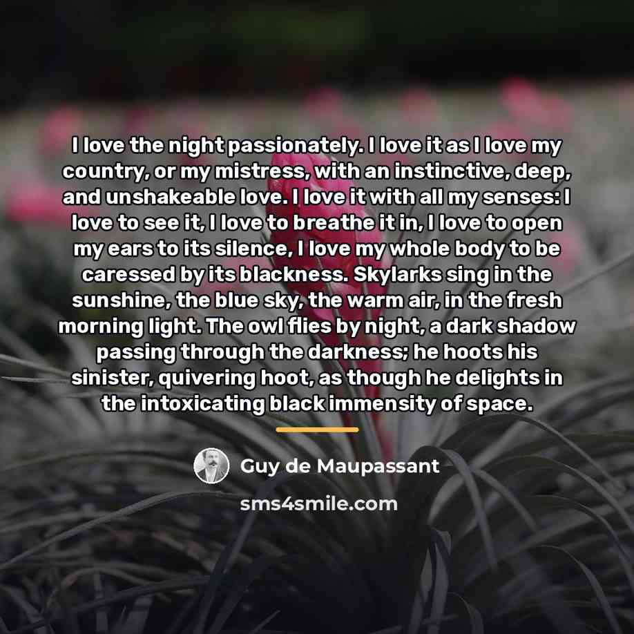“I love the night passionately. I love it as I…” quote by Guy de Maupassant