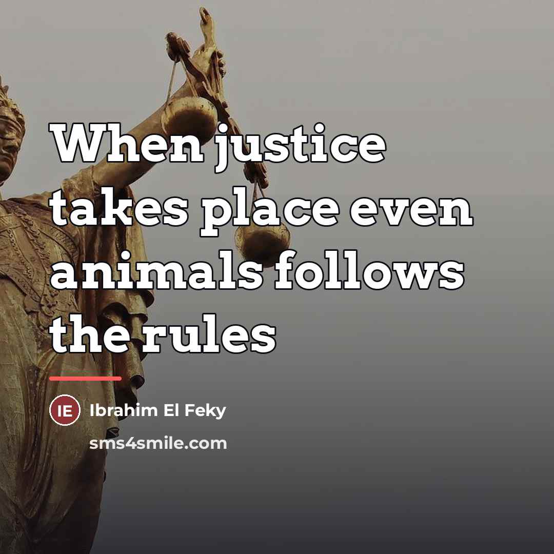 “When justice takes place even animals follows the rules…” quote by Ibrahim El Feky