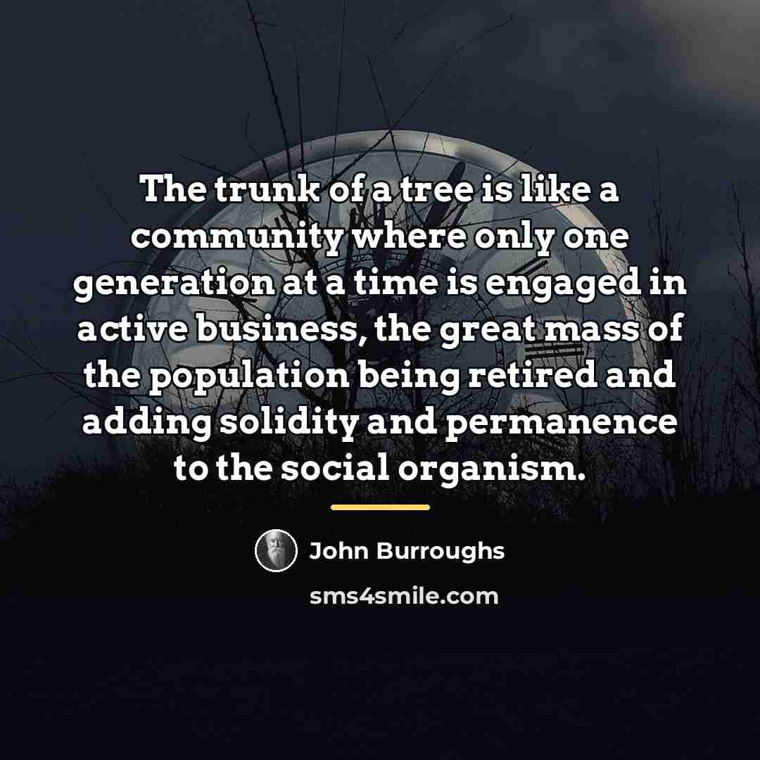 “The trunk of a tree is like a community where…” quote by John Burroughs