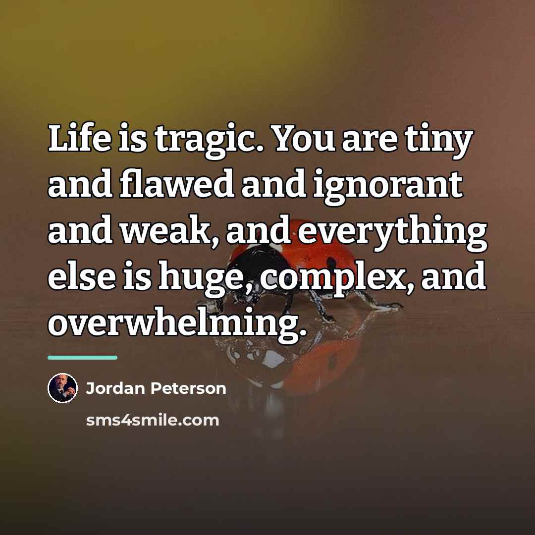“Life is tragic. You are tiny and flawed and ignorant…” quote by Jordan Peterson
