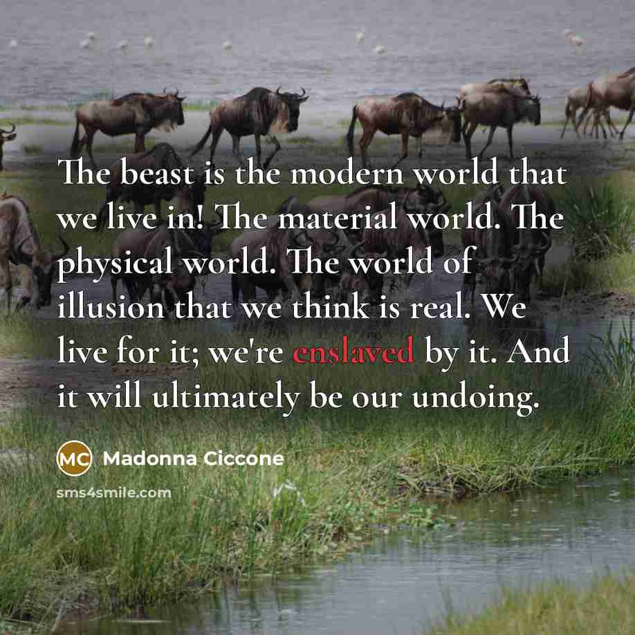 “The beast is the modern world that we live in!…” quote by Madonna Ciccone