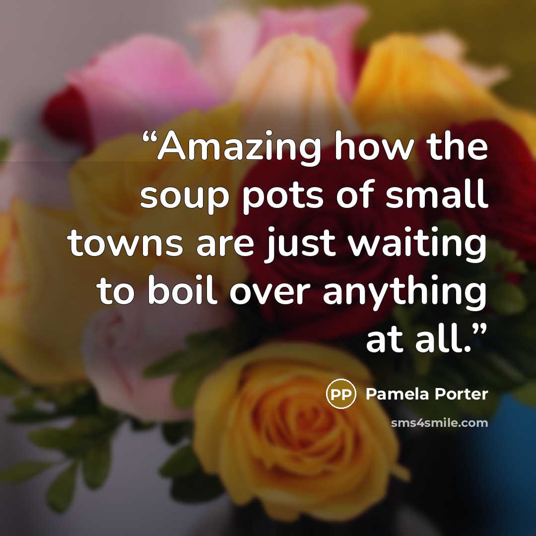 “Amazing how the soup pots of small towns are just waiting to boil over anything at all.” quote by Pamela Porter