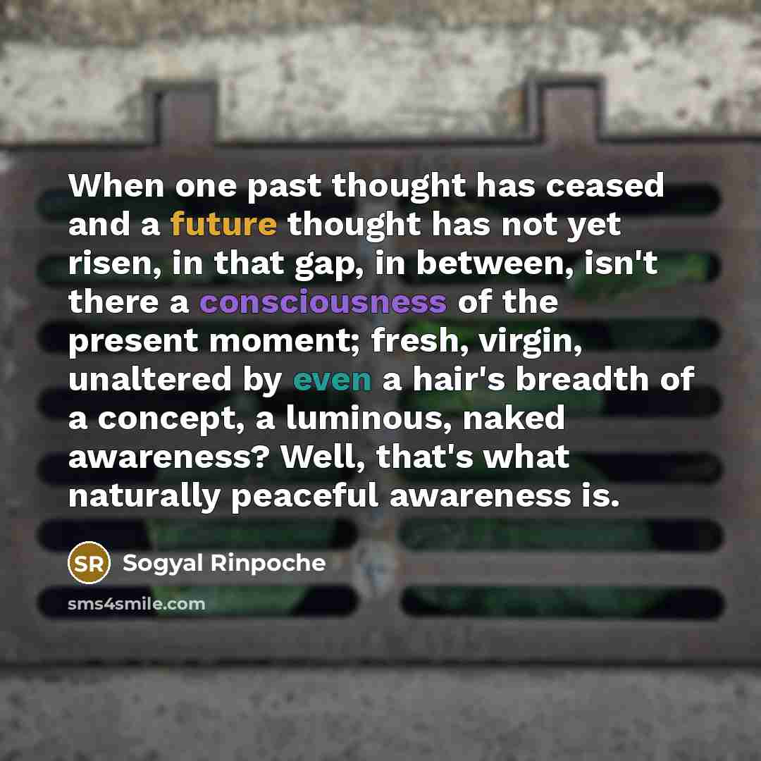 “When one past thought has ceased and a future thought…” quote by Sogyal Rinpoche