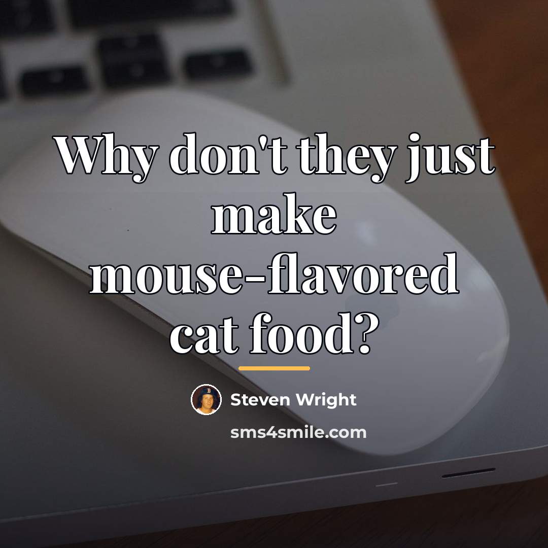 “Why don't they just make mouse-flavored cat food?…” quote by Steven Wright